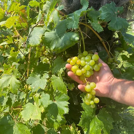 Tatil Evi Vista Monviso *