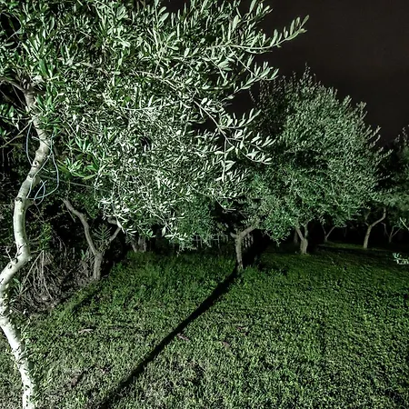 Vista Monviso Chieri