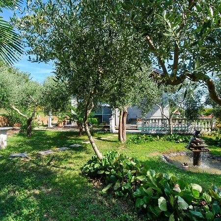 Vista Monviso Tatil Evi Chieri