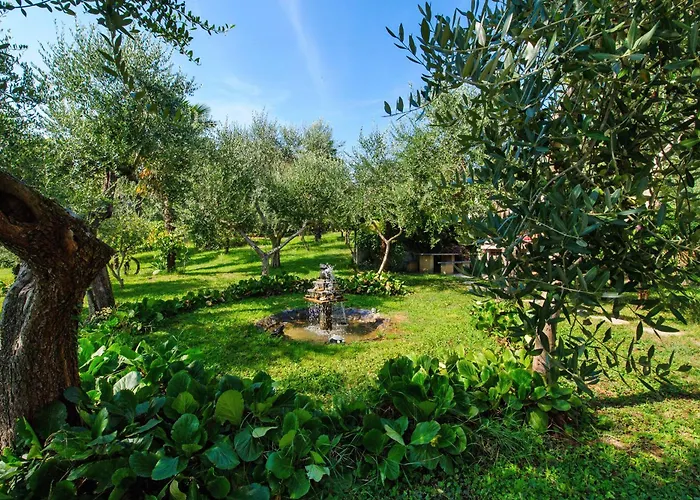 Vista Monviso Holiday home Chieri